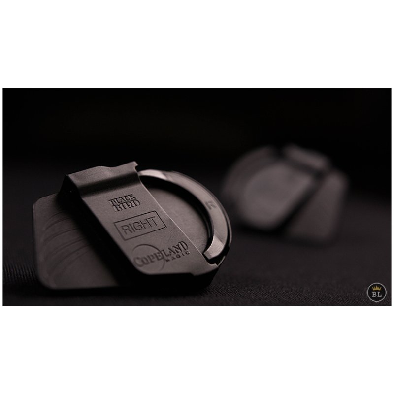 Blackbird (Gimmick e Intrucciones Online) de Jeff Copelan - Imagen 6